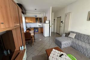 Rif.2460RA46252| appartamento bilocale