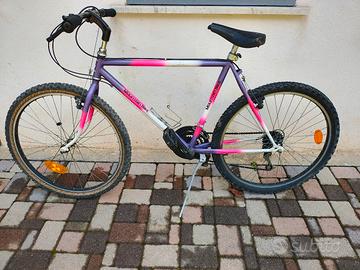bicicletta MTB
