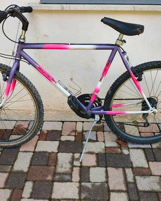 bicicletta MTB