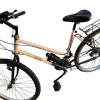 Bici da città con lucetta funzionante – Ottime con