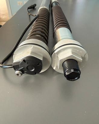 Cartucce forcella elettroniche BMW DDC