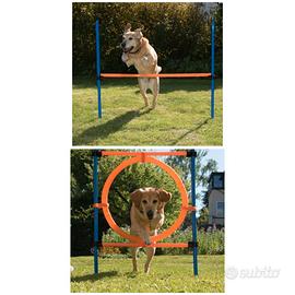 Salto e Anello Agility cane (due Set Completi)