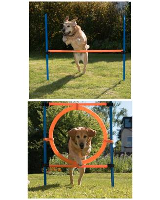 Salto e Anello Agility cane (due Set Completi)
