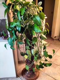 Colonna / Pedistallo in legno massello intagliato 