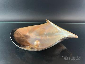 Conchiglia Pteria Penguin con perla.