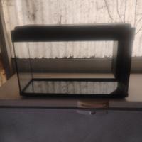 Acquario 