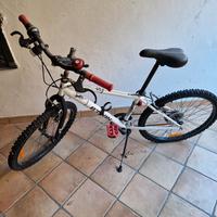 Bicicletta