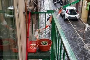 Appartamento Napoli [Cod. rif 3292667VRG]