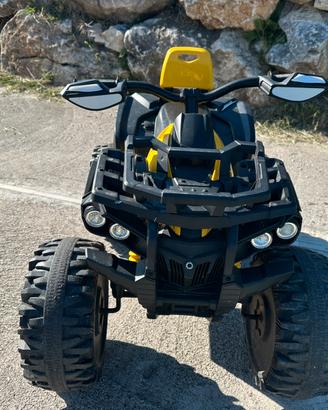 Quad 12 volt