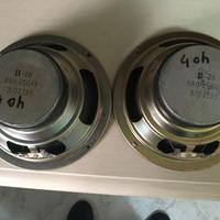 Altoparlanti da 16 cm e madi 4 ohm