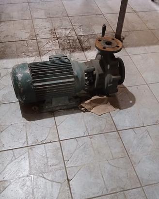 motore/pompa sollevamento acqua 380v