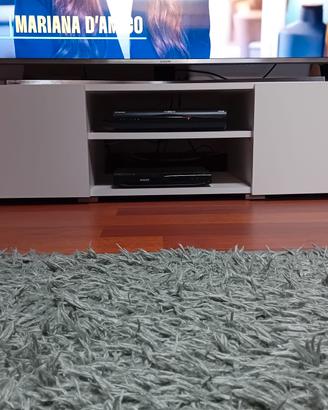 Mobile TV