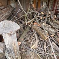 Legna di Vite,  pesco, ulivo