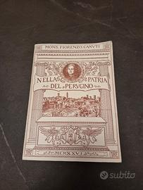 Libro nella Patria del Perugino