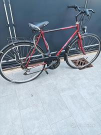 bici da uomo 