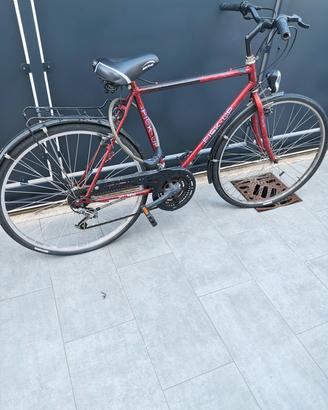 bici da uomo 