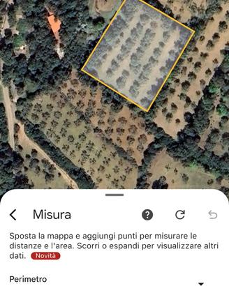 Terreno con uliveto a su piroi - Gergei