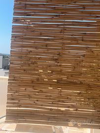 Bambú a canna grande