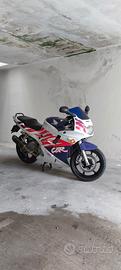CBR 600