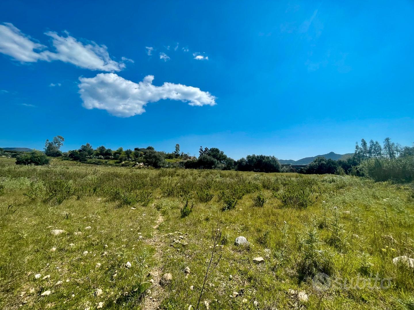 Terreno pianeggiante con rustico - Altro