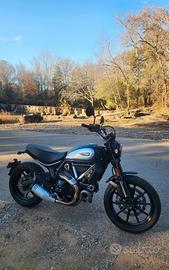 Ducati Scrambler 800 icon