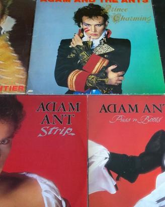 Adam&Ants vinile
