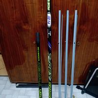 roubasienne sensas t Rex 34