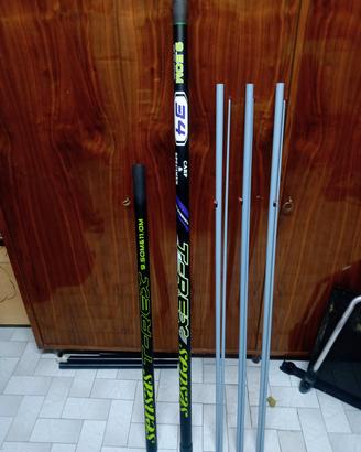 roubasienne sensas t Rex 34