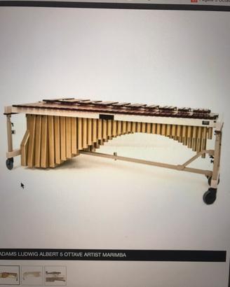 Strumenti musicali