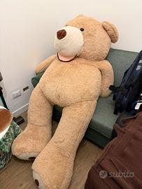 Orso peluche