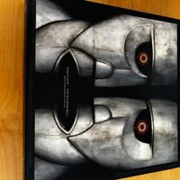 Dischi disco Pink Floyd cd+vinili+blu ray+dvd