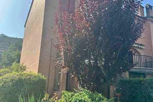 Villa a schiera Monzuno [GV79LBVRG]
