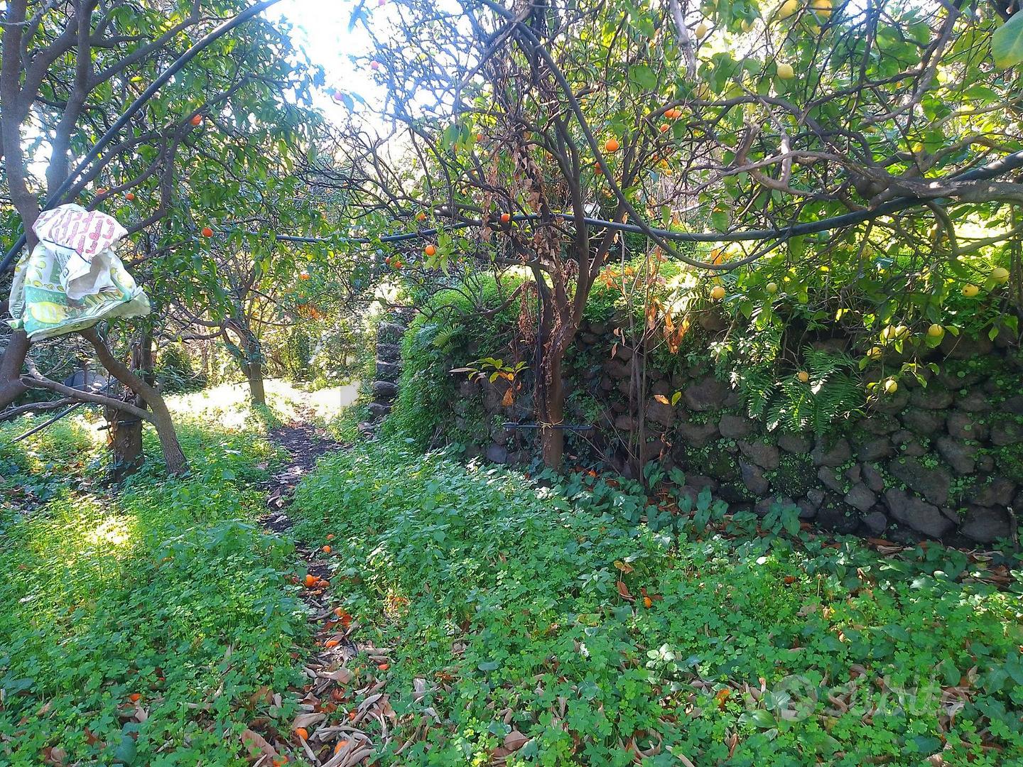 Terreno - Giarre - Vista 2