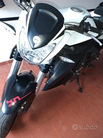 Benelli BN600r