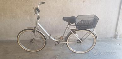 Graziellona 24"