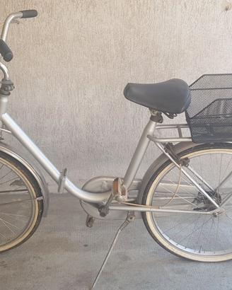 Graziellona 24"