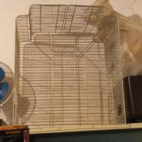 gabbia per pappagalli 