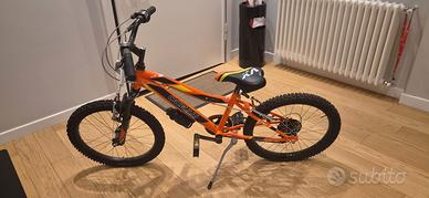 Bicicletta OLMO Ocean 20