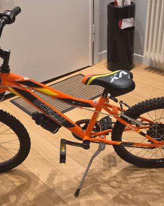 Bicicletta OLMO Ocean 20
