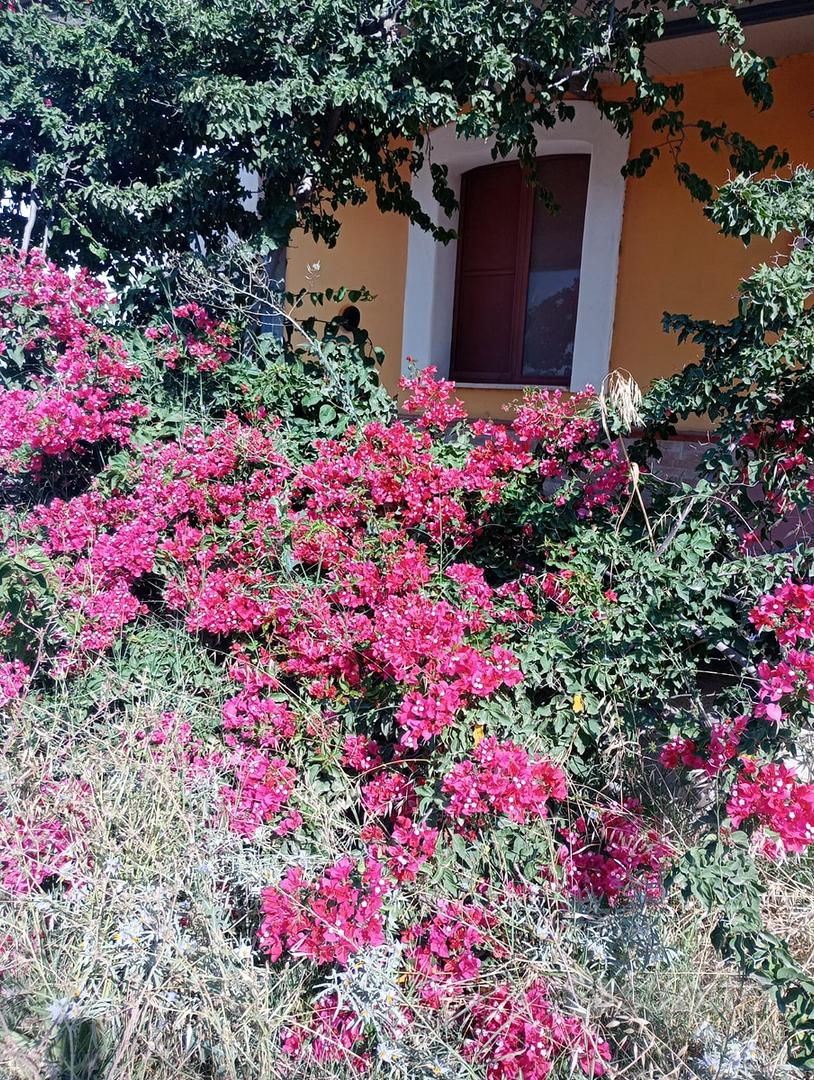 Terreno 7 ettari con casetta - Vista 3
