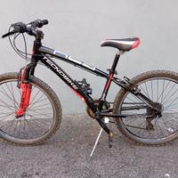Bicicletta bambino