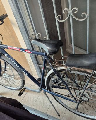 Bici uomo misura 28