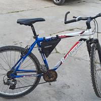 Mountain bike Bottecchia fx500