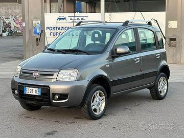 FIAT - Panda - 1.2 4x4 Glam