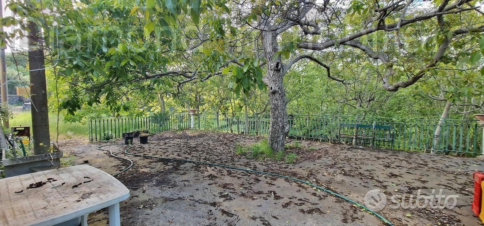 Fabbricati con terreno a Piedimonte Etneo - Vista 5