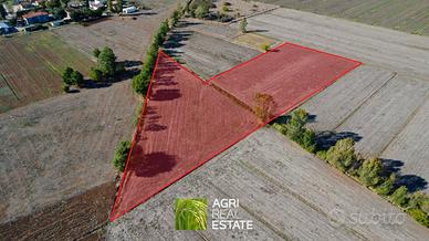 Terreno agricolo pianeggiante di 1 ettaro