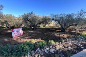 Terreno Residenziale San Severo