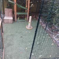 2 Prati sintetici 2×3Mt. Altezza erba 30mm