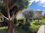 Immagine 24