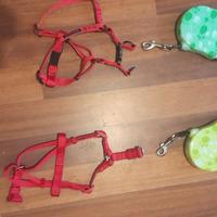 Guinzagli con imbracatura